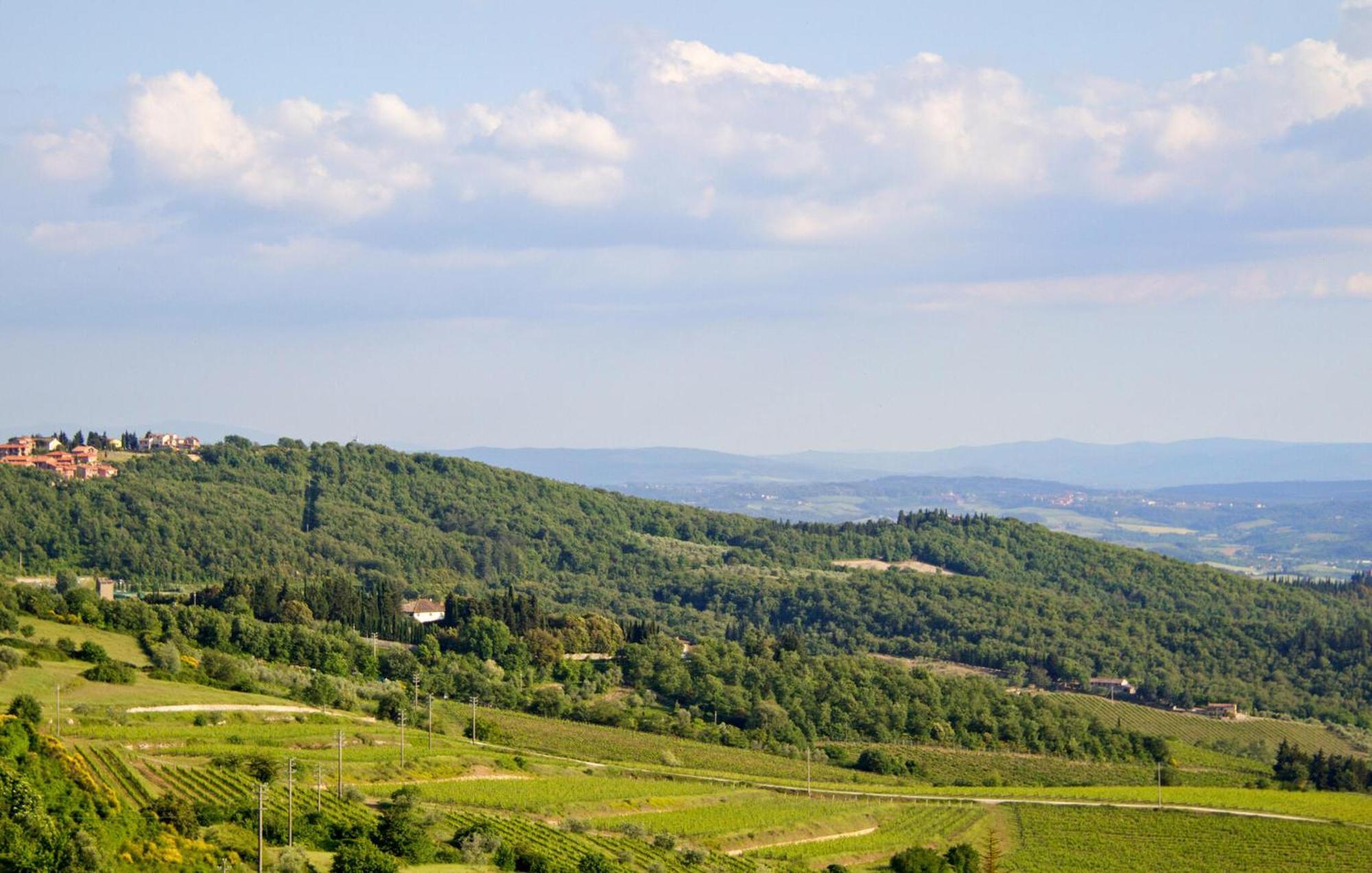Galletto Nero Panzano in Chianti Buitenkant foto
